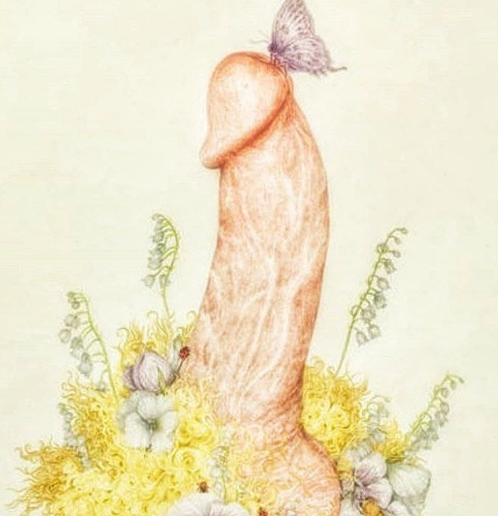 The Lingam's Embrace: A Journey of Sensuality and Connection